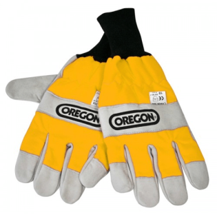 evasiliougr oregon 2925399